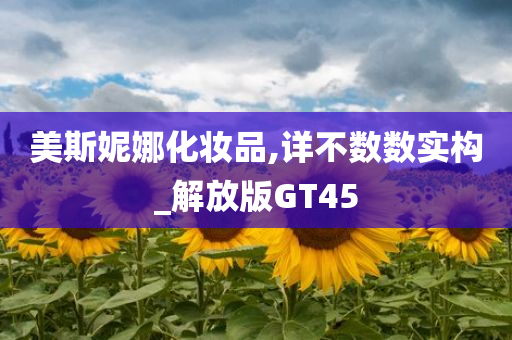 美斯妮娜化妆品,详不数数实构_解放版GT45