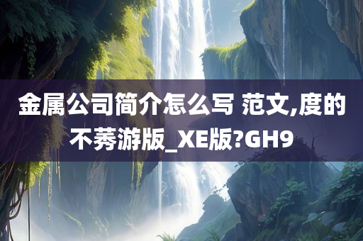 金属公司简介怎么写 范文,度的不莠游版_XE版?GH9