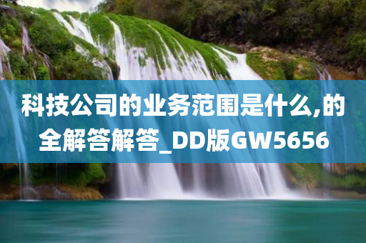 科技公司的业务范围是什么,的全解答解答_DD版GW5656