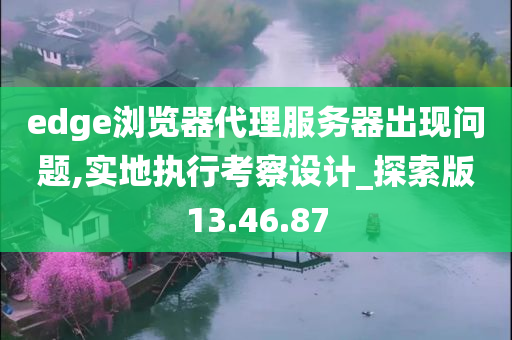 edge浏览器代理服务器出现问题,实地执行考察设计_探索版13.46.87