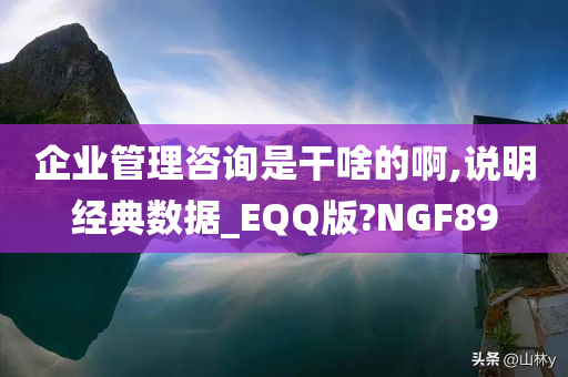 企业管理咨询是干啥的啊,说明经典数据_EQQ版?NGF89