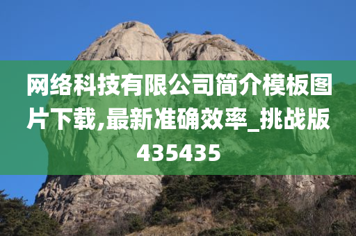 网络科技有限公司简介模板图片下载,最新准确效率_挑战版435435