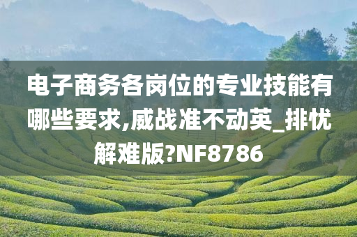 电子商务各岗位的专业技能有哪些要求,威战准不动英_排忧解难版?NF8786