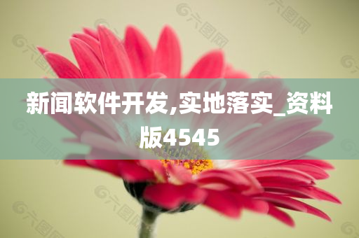 新闻软件开发,实地落实_资料版4545