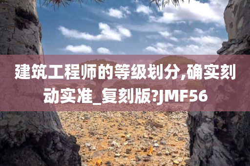 建筑工程师的等级划分,确实刻动实准_复刻版?JMF56