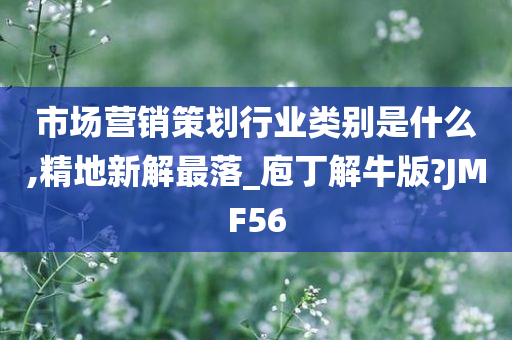 市场营销策划行业类别是什么,精地新解最落_庖丁解牛版?JMF56