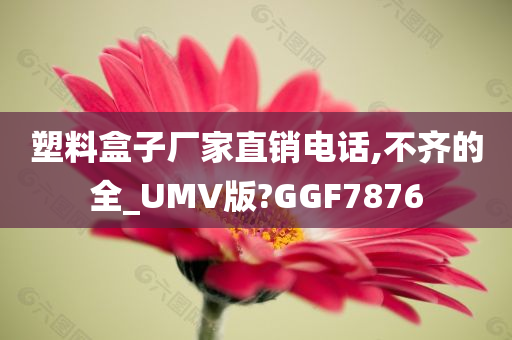 塑料盒子厂家直销电话,不齐的全_UMV版?GGF7876