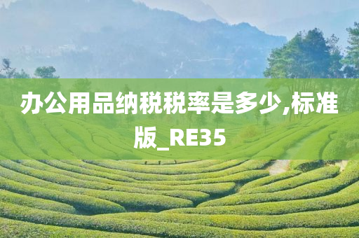 办公用品纳税税率是多少,标准版_RE35