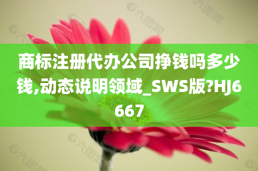 商标注册代办公司挣钱吗多少钱,动态说明领域_SWS版?HJ6667