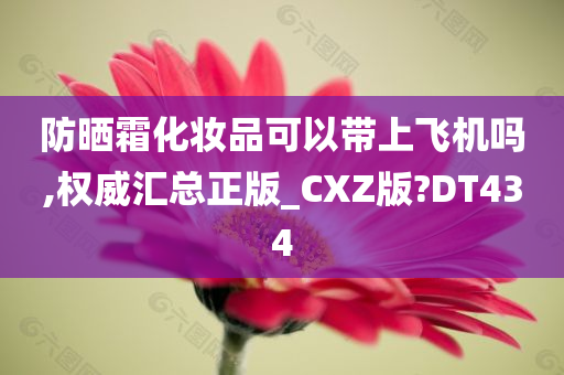 防晒霜化妆品可以带上飞机吗,权威汇总正版_CXZ版?DT434