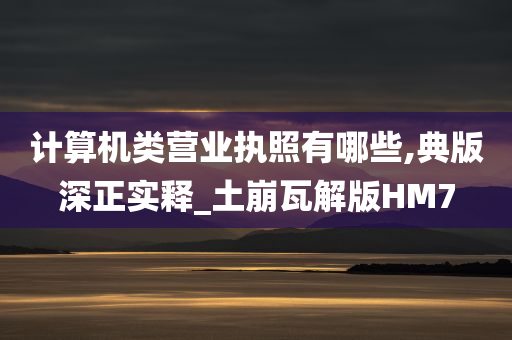 计算机类营业执照有哪些,典版深正实释_土崩瓦解版HM7