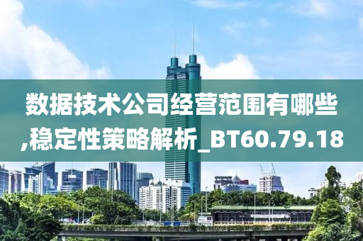 数据技术公司经营范围有哪些,稳定性策略解析_BT60.79.18