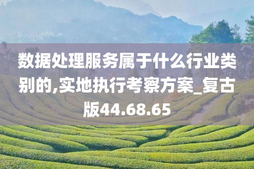 数据处理服务属于什么行业类别的,实地执行考察方案_复古版44.68.65