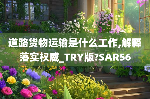 道路货物运输是什么工作,解释落实权威_TRY版?SAR56