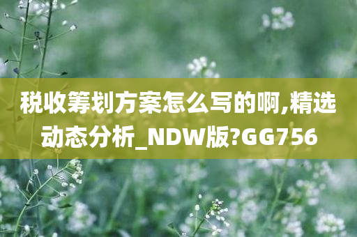 税收筹划方案怎么写的啊,精选动态分析_NDW版?GG756