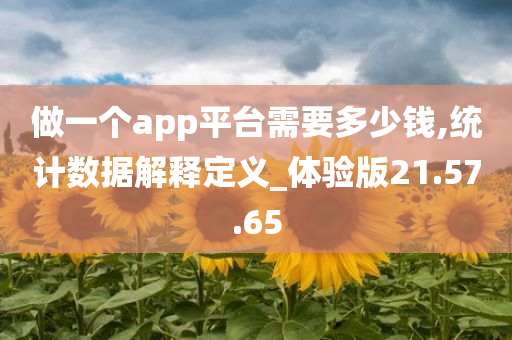 做一个app平台需要多少钱,统计数据解释定义_体验版21.57.65