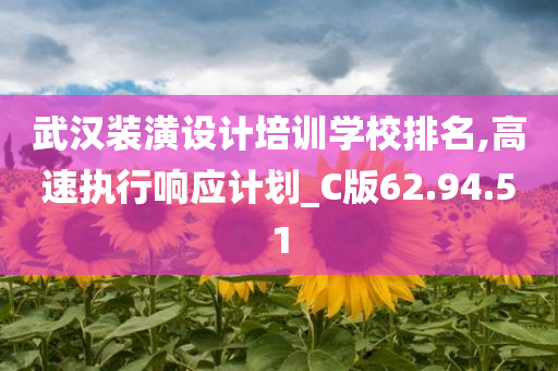 武汉装潢设计培训学校排名,高速执行响应计划_C版62.94.51