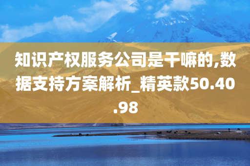 知识产权服务公司是干嘛的,数据支持方案解析_精英款50.40.98