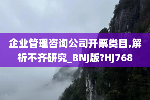 企业管理咨询公司开票类目,解析不齐研究_BNJ版?HJ768