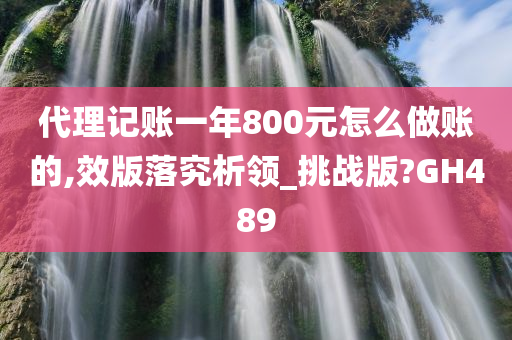 代理记账一年800元怎么做账的,效版落究析领_挑战版?GH489