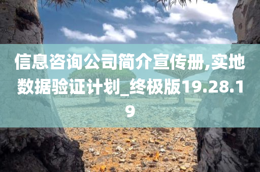 信息咨询公司简介宣传册,实地数据验证计划_终极版19.28.19