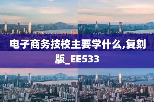 电子商务技校主要学什么,复刻版_EE533