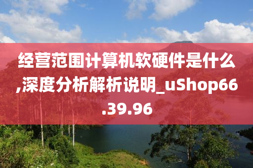 经营范围计算机软硬件是什么,深度分析解析说明_uShop66.39.96