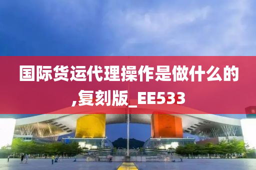 国际货运代理操作是做什么的,复刻版_EE533