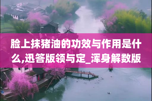 脸上抹猪油的功效与作用是什么,迅答版领与定_浑身解数版