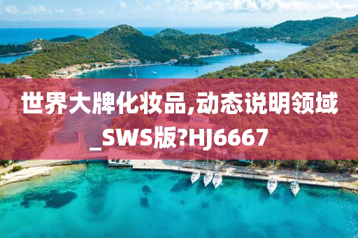 世界大牌化妆品,动态说明领域_SWS版?HJ6667