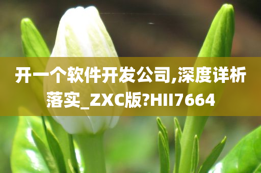 开一个软件开发公司,深度详析落实_ZXC版?HII7664