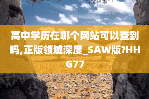 高中学历在哪个网站可以查到吗,正版领域深度_SAW版?HHG77