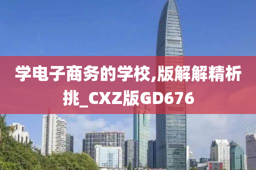 学电子商务的学校,版解解精析挑_CXZ版GD676