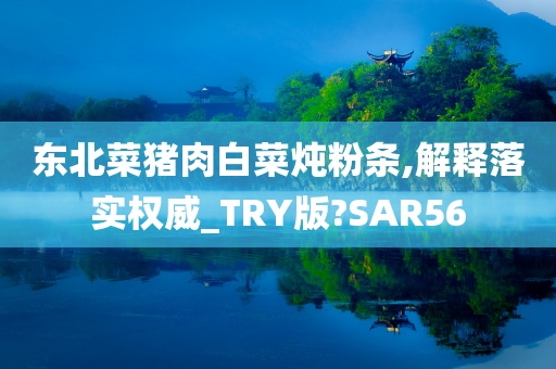 东北菜猪肉白菜炖粉条,解释落实权威_TRY版?SAR56