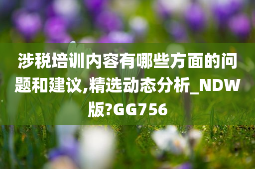 涉税培训内容有哪些方面的问题和建议,精选动态分析_NDW版?GG756