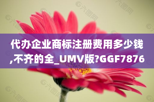 代办企业商标注册费用多少钱,不齐的全_UMV版?GGF7876