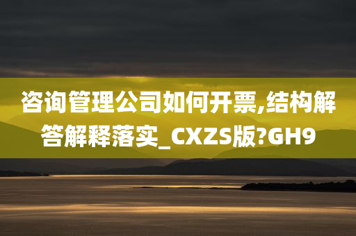 咨询管理公司如何开票,结构解答解释落实_CXZS版?GH9