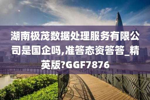 湖南极茂数据处理服务有限公司是国企吗,准答态资答答_精英版?GGF7876