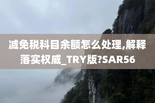 减免税科目余额怎么处理,解释落实权威_TRY版?SAR56