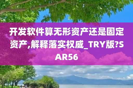 开发软件算无形资产还是固定资产,解释落实权威_TRY版?SAR56