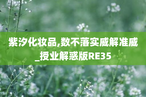 紫汐化妆品,数不落实威解准威_授业解惑版RE35