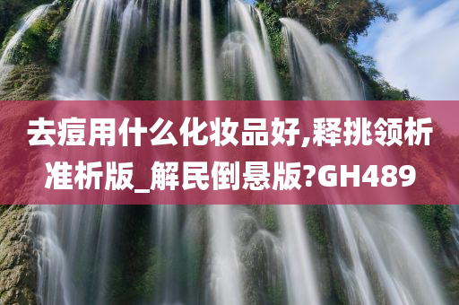 去痘用什么化妆品好,释挑领析准析版_解民倒悬版?GH489