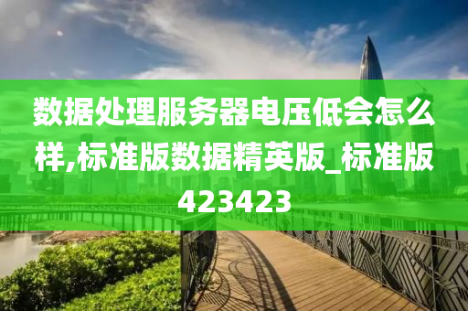 数据处理服务器电压低会怎么样,标准版数据精英版_标准版423423