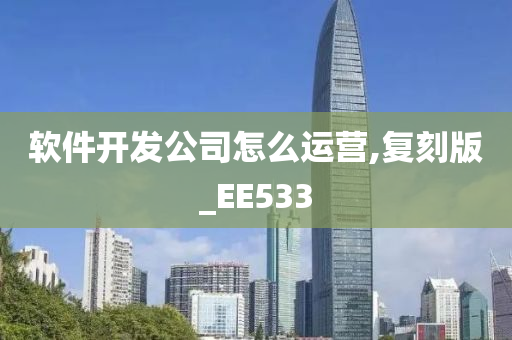 软件开发公司怎么运营,复刻版_EE533