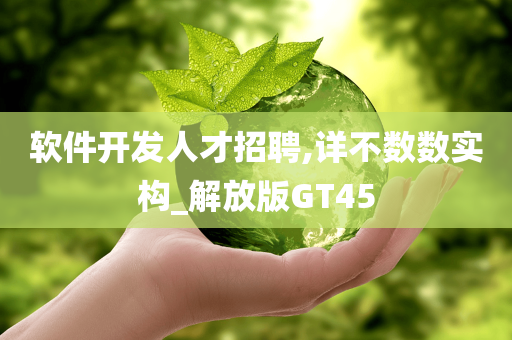 软件开发人才招聘,详不数数实构_解放版GT45