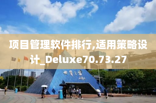 项目管理软件排行,适用策略设计_Deluxe70.73.27