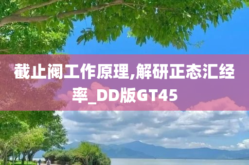 截止阀工作原理,解研正态汇经率_DD版GT45