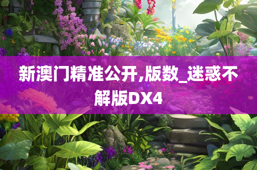 新澳门精准公开,版数_迷惑不解版DX4