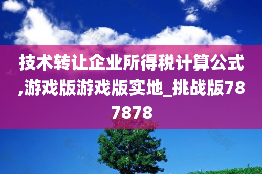 技术转让企业所得税计算公式,游戏版游戏版实地_挑战版787878