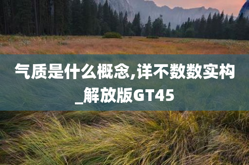 气质是什么概念,详不数数实构_解放版GT45